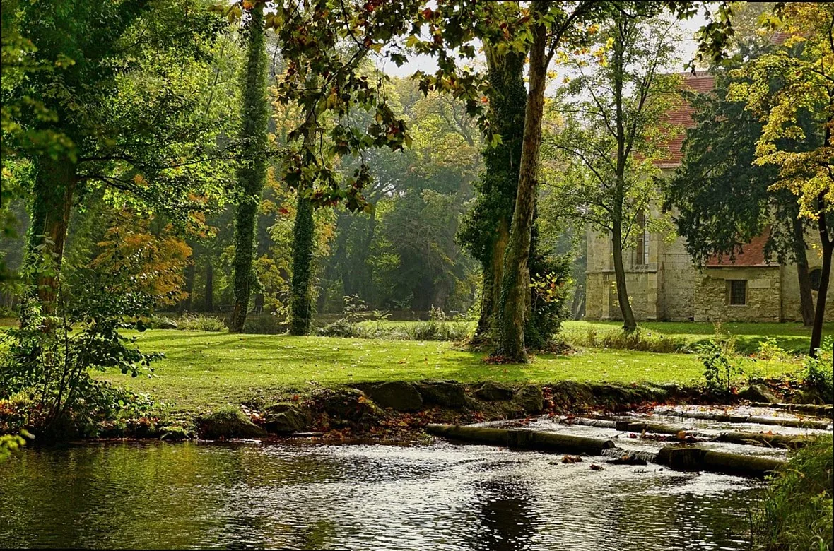 fall, park, trees, flow, nature, landscape, leaves, october, building, chapel, light, the shade, green, grass, lawn, aut